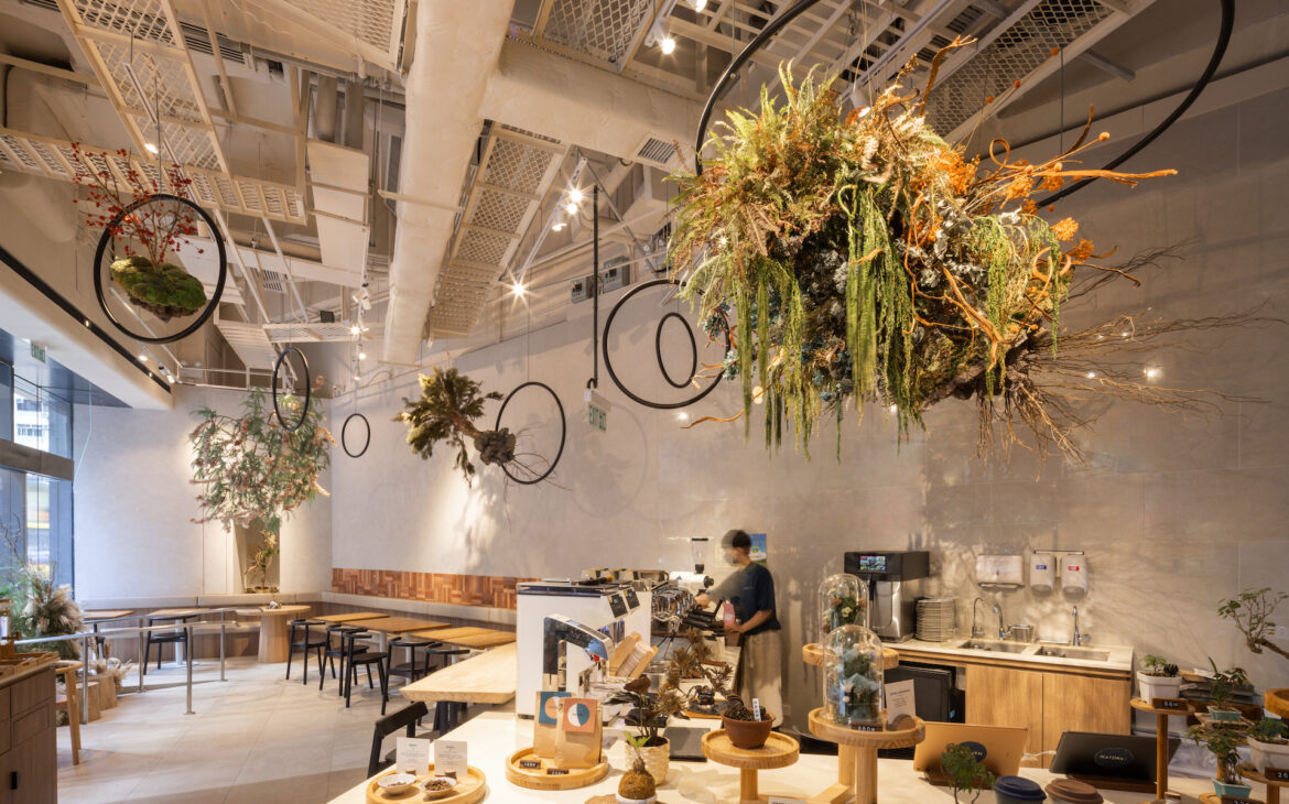 Hong Kong cafe Natura highlights city's connection with nature, upcycles aged trees