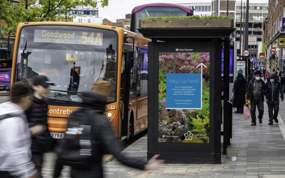 Rooftop gardens on Leicester bus shelters help bees pollinate