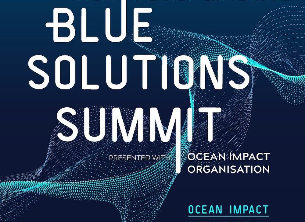 Blue Summit calls for sustainable actions to address marine environmental problems