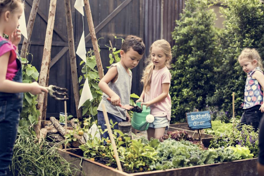 How to teach kids about sustainability