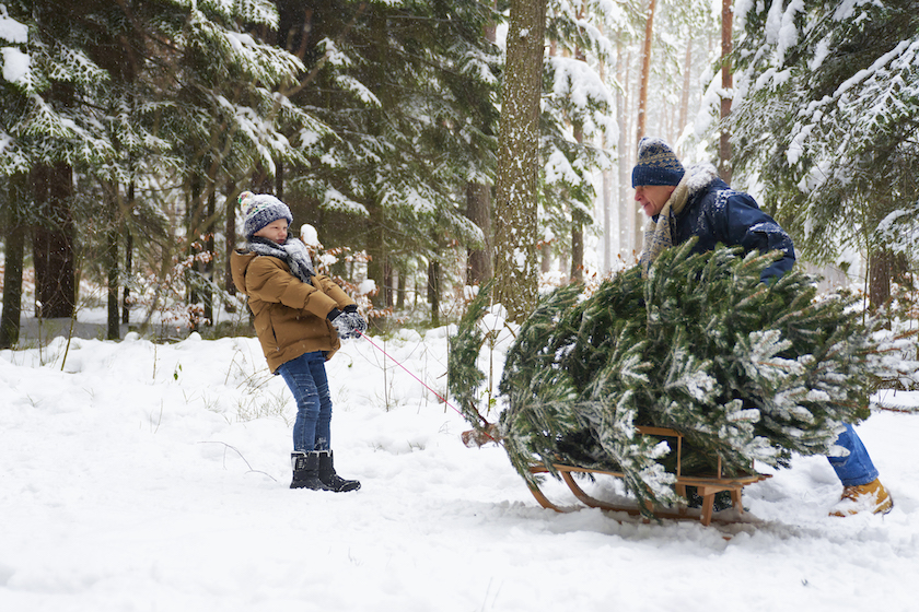 8 realistic tips for a more sustainable Christmas