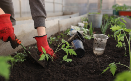 How earth's food supply would -potentially - look like in 20 years