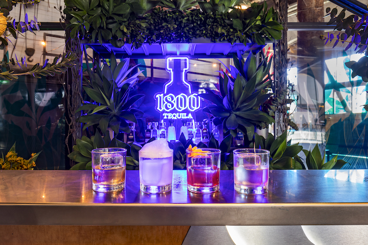 1800 Tequila creates bars devoted to biodiversity 
