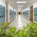 The Greening of Education: How schools can incorporate environmental studies