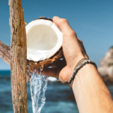 Reforestation or another plantation Multinational's flawed eco plan