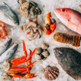 orange and white fish on white and black pebbles