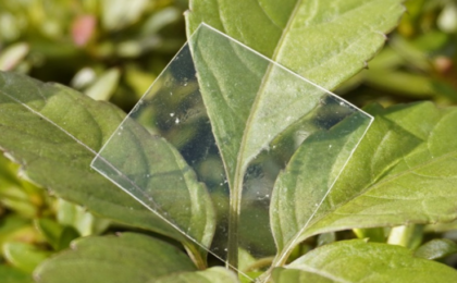 A thin square of the glassy new plastic