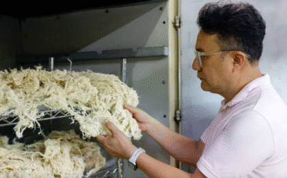 Going Bananas Taiwan entrepreneur to make fabric from the fruit Banana textile