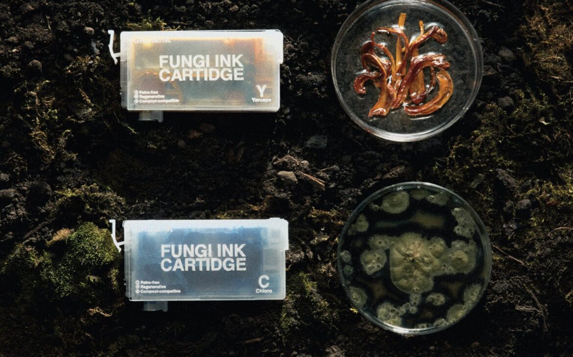 Spores to prints: Scientist invents fungal ink as alternative