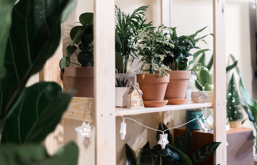 Ten great eco-friendly Christmas decoration ideas