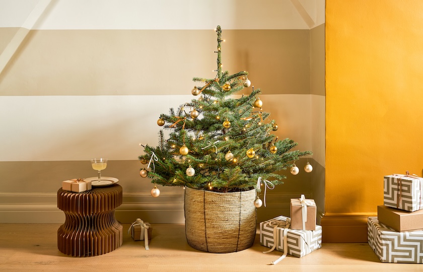 Ten great eco-friendly Christmas decoration ideas