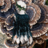 The future of fashion could be made from fungus