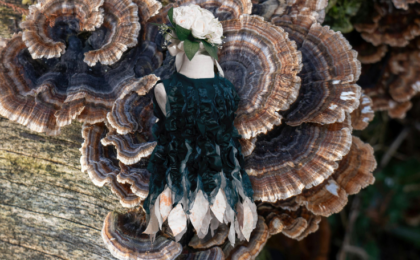 The future of fashion could be made from fungus